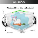 yanfind Isolated Smile Lovely Childish Vegetable Little Comic Cute Easter Colorful Hare Rabbit Dust Washable Reusable Filter and Reusable Mouth Warm Windproof Cotton Face