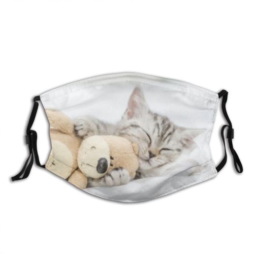 yanfind Fur Young Bed Closed Cat Kitty Cute Little Grey Muzzle Embrace Pedigreed Dust Washable Reusable Filter and Reusable Mouth Warm Windproof Cotton Face