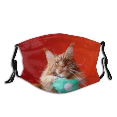 yanfind Isolated Fur Meow Cat Kitty Cute Clinic Coon Vet Vaccination Medical Ginger Dust Washable Reusable Filter and Reusable Mouth Warm Windproof Cotton Face