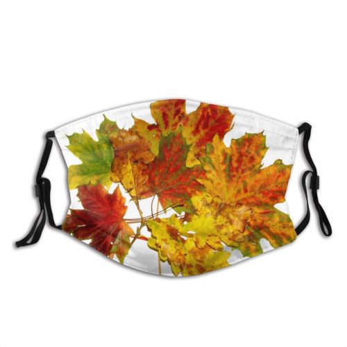 yanfind Maple Autumn Woody Leaves Maple Plant Fall Decoration Flowering Leaf Leaf Tree Dust Washable Reusable Filter and Reusable Mouth Warm Windproof Cotton Face