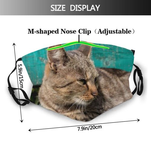 yanfind Option Packaging Fur Young Little Cat Kitty Cute Affection Attention Calm Posing Dust Washable Reusable Filter and Reusable Mouth Warm Windproof Cotton Face