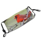 yanfind Public Ohio Exploration America Bush Twig Leaf Autumn Wild Tranquility Bird Bare Dust Washable Reusable Filter and Reusable Mouth Warm Windproof Cotton Face