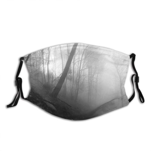 yanfind Fog Winter Mist Forest Landscape Trees Tree Atmosphere Forest Natural Atmospheric Fog Dust Washable Reusable Filter and Reusable Mouth Warm Windproof Cotton Face