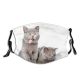 yanfind Isolated Smile Lovely Young Stupid Little Cat Laugh Grey Friendly Makes Muzzle Dust Washable Reusable Filter and Reusable Mouth Warm Windproof Cotton Face