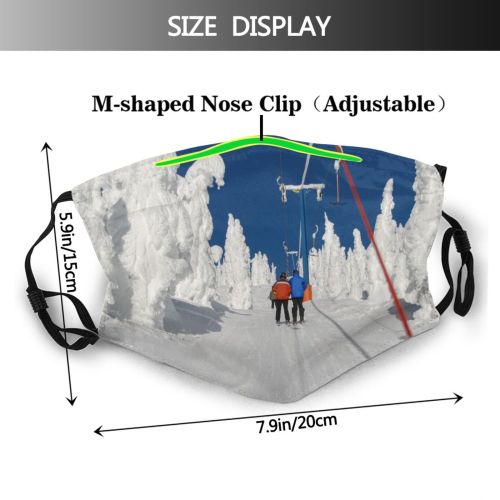 yanfind Winter Lanscapes Ski Winter Skiing Sport Geological Ice Resorts Recreation Snow Ski Dust Washable Reusable Filter and Reusable Mouth Warm Windproof Cotton Face