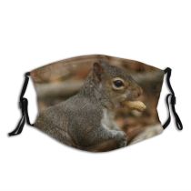 yanfind Vertebrate Chipmunk Ground Squirrel Fox Squirrel Grey Whiskers Squirrels Snout Wildlife Dust Washable Reusable Filter and Reusable Mouth Warm Windproof Cotton Face