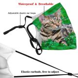 yanfind Fur Young Striped Cat Cute Nose Summer Meadow Bengal Grass Beautiful Pretty Dust Washable Reusable Filter and Reusable Mouth Warm Windproof Cotton Face