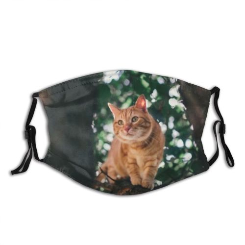 yanfind Garden Fur Tom Young Cat Kitty Cute Perfect Pedigreed Summer Ginger Friend Dust Washable Reusable Filter and Reusable Mouth Warm Windproof Cotton Face