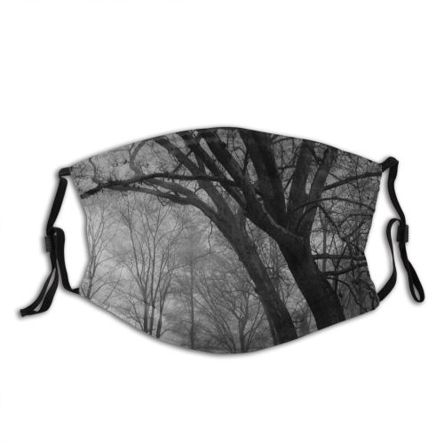yanfind Winter Landscape Sky Tree Branch Natural Atmospheric Dust Washable Reusable Filter and Reusable Mouth Warm Windproof Cotton Face