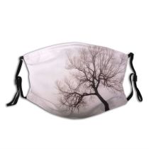 yanfind Mist s Morning Natural Atmospheric Woody Fog Landscape Sky Eerie Branch Tree Dust Washable Reusable Filter and Reusable Mouth Warm Windproof Cotton Face