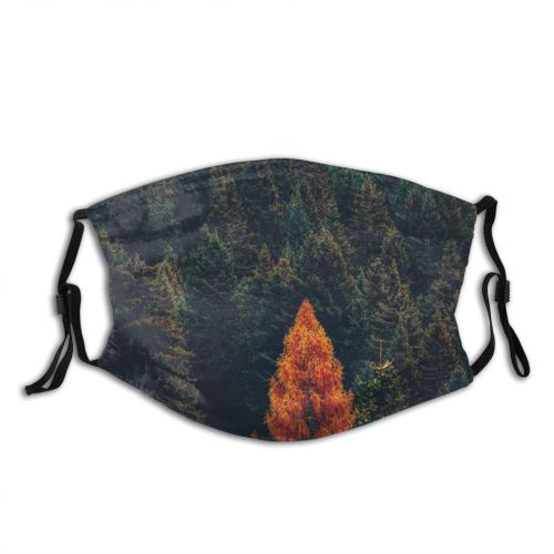 yanfind Idyllic Autumn Foliage Pine Forest Evergreen Tranquil Scenery Leaves Trees Outdoors Season Dust Washable Reusable Filter and Reusable Mouth Warm Windproof Cotton Face