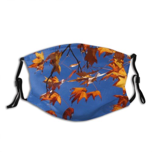 yanfind Maple Sky Autumn Woody Australia Maple Sky Plant Branch Leaf Leaf Twig Dust Washable Reusable Filter and Reusable Mouth Warm Windproof Cotton Face