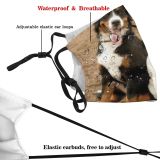 yanfind Field Playing Sennenhund Mix Dog Collie Dogs Friendship Canidae Dog Sennen Team Dust Washable Reusable Filter and Reusable Mouth Warm Windproof Cotton Face