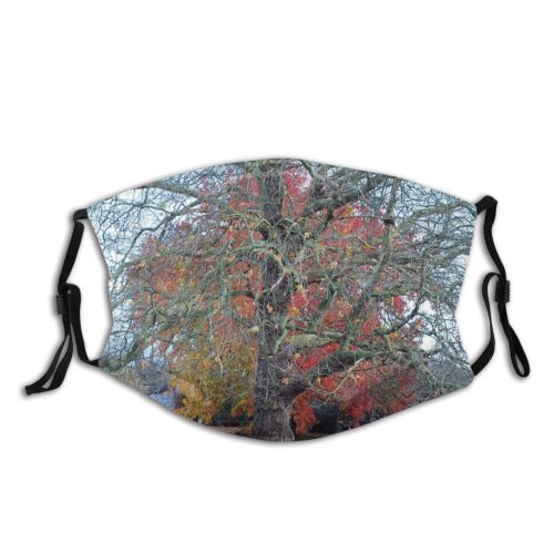 yanfind Temperate Maple Autumn Woody Leaves Plant Fall Broadleaf Branch Forest Leaf Tree Dust Washable Reusable Filter and Reusable Mouth Warm Windproof Cotton Face