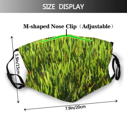 yanfind Plant Faxahatchee Wheatgrass Leaves Flower Lilly Grass Weed Cypress Plant Wetland Florida Dust Washable Reusable Filter and Reusable Mouth Warm Windproof Cotton Face