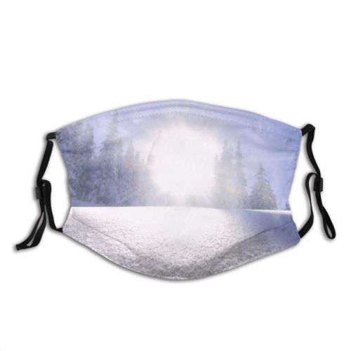 yanfind Winter Landscape Sky Tree Light Winter Natural Freezing Sun Snow Atmospheric Daytime Dust Washable Reusable Filter and Reusable Mouth Warm Windproof Cotton Face