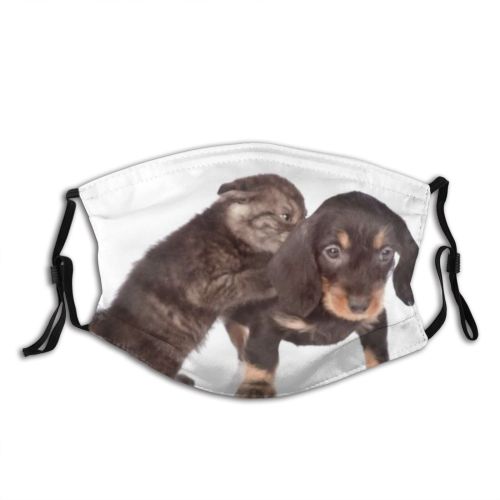 yanfind Friends Isolated Young Relations Together Little Cat Newborn Friendly Fight Tiny Dog Dust Washable Reusable Filter and Reusable Mouth Warm Windproof Cotton Face