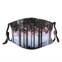 yanfind Landscape Sea Sunset Tree Plant Ice Plant Forest Natural Trunk Vasterbotten Woody Dust Washable Reusable Filter and Reusable Mouth Warm Windproof Cotton Face