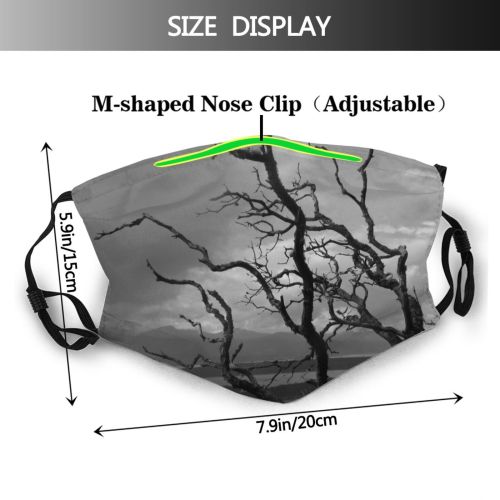 yanfind Winter Leaves Cloud Landscape Sky Trees Tree Branch Atmospheric Spring Dust Washable Reusable Filter and Reusable Mouth Warm Windproof Cotton Face