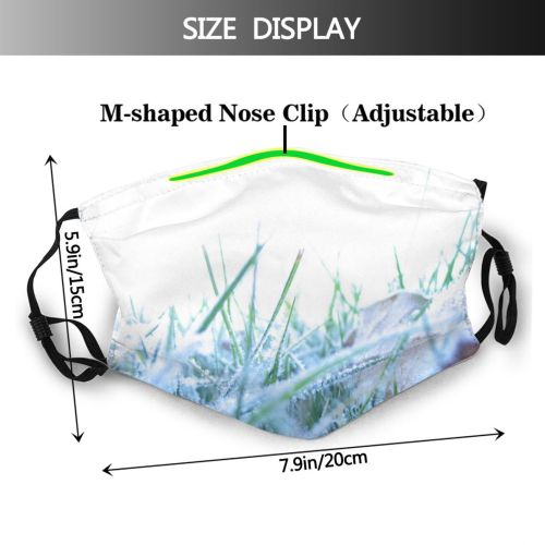 yanfind Winter Family Frost Leaf Plant Ice Grass Frost Grass Morning Dust Washable Reusable Filter and Reusable Mouth Warm Windproof Cotton Face