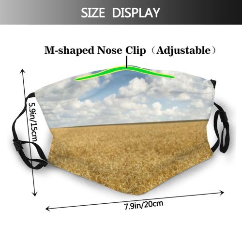 yanfind Bread Land Sky Stem Vibrant Grass Ripe Barley Plant Scenic Cereal Grow Dust Washable Reusable Filter and Reusable Mouth Warm Windproof Cotton Face