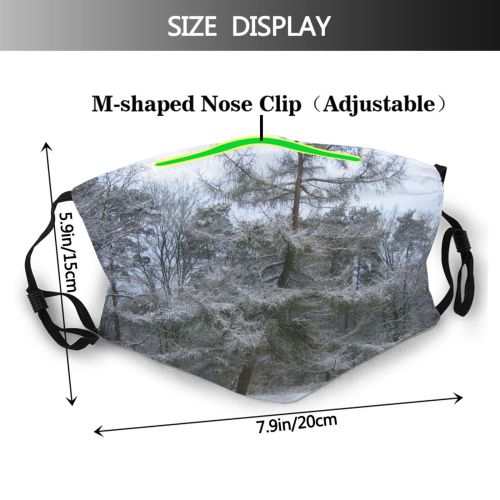 yanfind Winter Frost Snowy Winter Natural Atmospheric Larch Branches Woody Frosty Frigid Landscape Dust Washable Reusable Filter and Reusable Mouth Warm Windproof Cotton Face