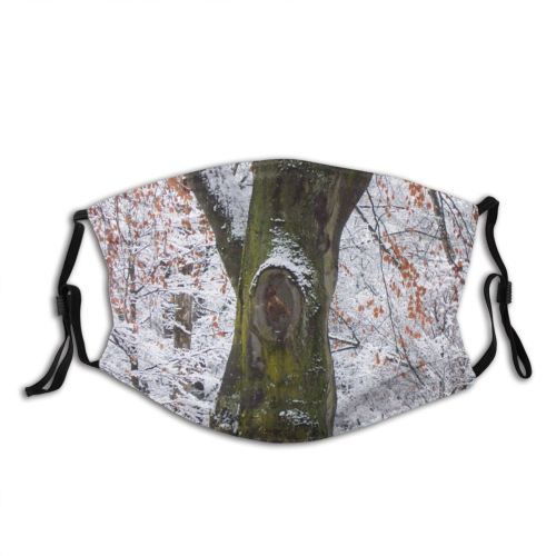 yanfind Winter Landscape Leaf Trees Plant Tree Branch Plant Winter Trunk Freezing Snow Dust Washable Reusable Filter and Reusable Mouth Warm Windproof Cotton Face