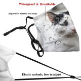 yanfind Cats Eyes Istanbul Stray Cat Dust Washable Reusable Filter and Reusable Mouth Warm Windproof Cotton Face