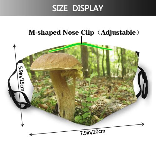yanfind Plant Edible Penny Woods Agaricaceae Fungus Agaricomycetes Forest Mushroom Mushroom Undergrowth Terrestrial Dust Washable Reusable Filter and Reusable Mouth Warm Windproof Cotton Face