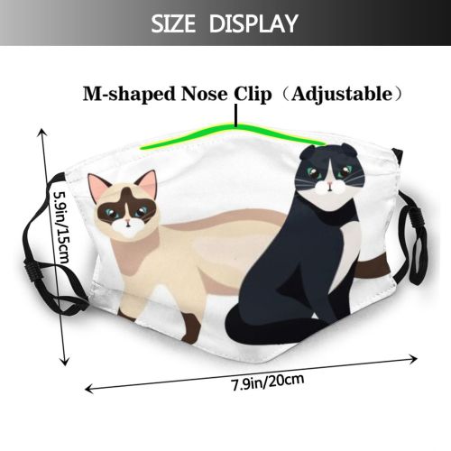 yanfind Isolated Smile Lovely Happiness Fur Little Kitty Comic Cute Mascot Friendly Design Dust Washable Reusable Filter and Reusable Mouth Warm Windproof Cotton Face