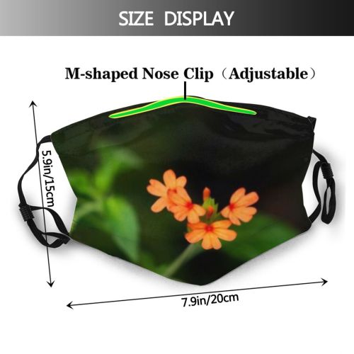 yanfind  Spring Botany Flower Southern Fiery Shaped Flora Garden Gardening Grass Rainforest Dust Washable Reusable Filter and Reusable Mouth Warm Windproof Cotton Face