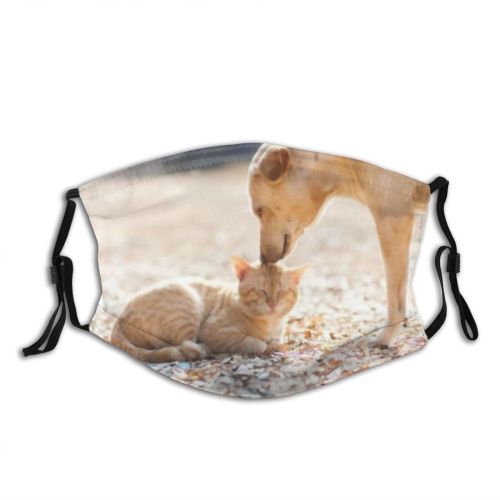 yanfind Friends Garden Happiness Together Cat Cute Kitty Warm Best Wildlife Dog Fall Dust Washable Reusable Filter and Reusable Mouth Warm Windproof Cotton Face