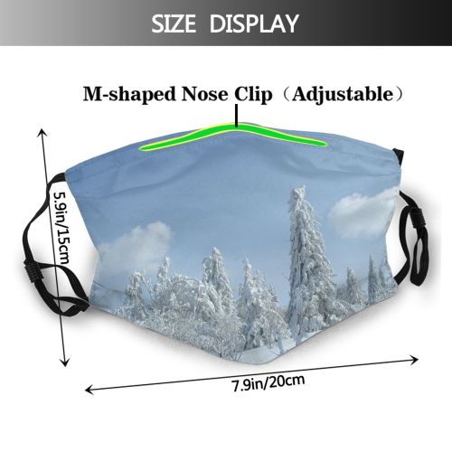 yanfind Winter Cloud Geological Mountains Mountain Sky Tree Ice Frost Winter Freezing Snow Dust Washable Reusable Filter and Reusable Mouth Warm Windproof Cotton Face