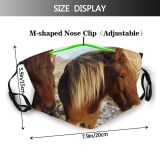 yanfind Winter Vertebrate Mare Mustang Pony Horse Sorrel Pony Shetland Iceland Furry Horses Dust Washable Reusable Filter and Reusable Mouth Warm Windproof Cotton Face