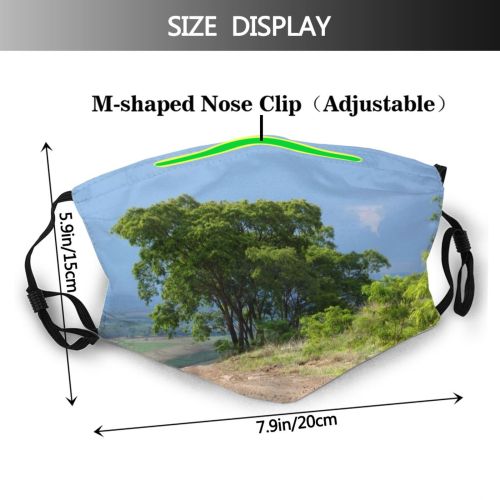 yanfind Plant Field Tempest Tree Tree Trail Road Storm Clouds Woody Road Sky Dust Washable Reusable Filter and Reusable Mouth Warm Windproof Cotton Face