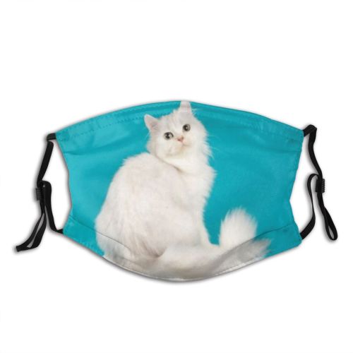 yanfind Isolated Fur Young Cat Kitty Cute Perfect Beautiful Haired Pet Cats Fluffy Dust Washable Reusable Filter and Reusable Mouth Warm Windproof Cotton Face