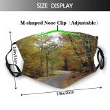 yanfind Deciduous Landscape Leaf Tree Forest Natural Autumn Road Autumn Dust Washable Reusable Filter and Reusable Mouth Warm Windproof Cotton Face
