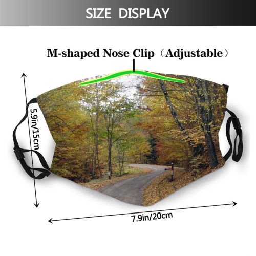 yanfind Deciduous Landscape Leaf Tree Forest Natural Autumn Road Autumn Dust Washable Reusable Filter and Reusable Mouth Warm Windproof Cotton Face