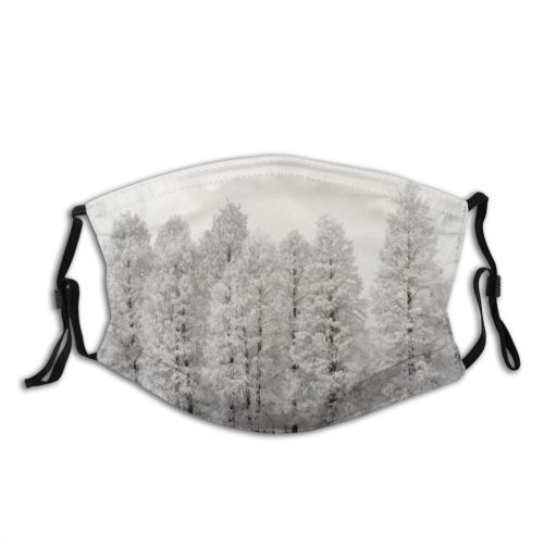 yanfind Winter Frozen Xmas Frost Christmas Spruce Winter Atmospheric Picture Landscape Shortleaf Snow Dust Washable Reusable Filter and Reusable Mouth Warm Windproof Cotton Face