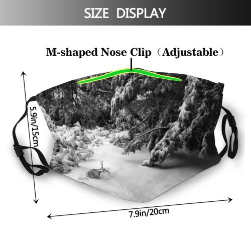 yanfind Cloud Landscape Sky Tree Tree Branch Field Snow Winter Natural Freezing Plant Dust Washable Reusable Filter and Reusable Mouth Warm Windproof Cotton Face