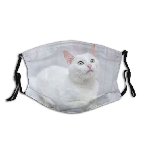 yanfind Isolated Smile Elegant Cat Kitty Cute Lazy Beautiful Lies Face Haired Feathers Dust Washable Reusable Filter and Reusable Mouth Warm Windproof Cotton Face