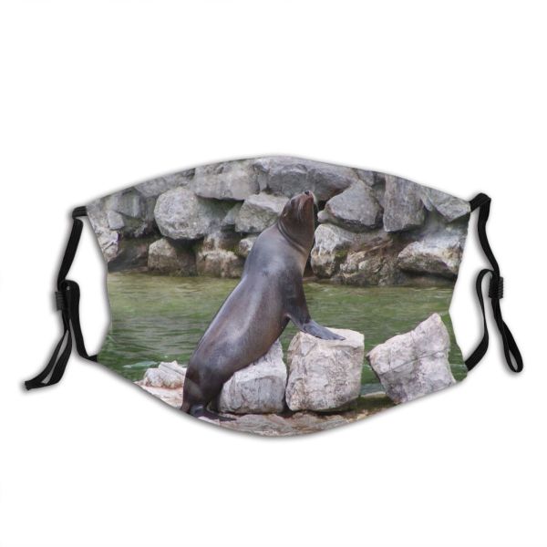 yanfind Steller Fur Harbor Sea Lion Organism Rock Seal Marine Wildlife California Seal Dust Washable Reusable Filter and Reusable Mouth Warm Windproof Cotton Face