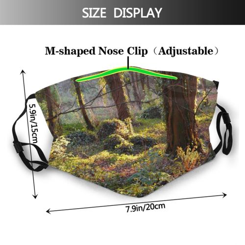yanfind Deciduous Forest Landscape Hardwood Leaf Northern Tree Tree Forest Natural Autumn Sunlit Dust Washable Reusable Filter and Reusable Mouth Warm Windproof Cotton Face