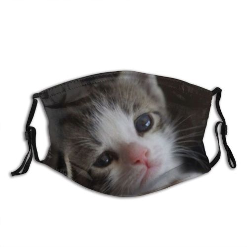 yanfind Fur Young Together Little Cat Kitty Cute Kittens Baby Beautiful Pretty Sweet Dust Washable Reusable Filter and Reusable Mouth Warm Windproof Cotton Face
