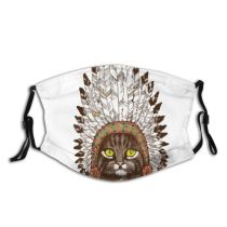 yanfind Cherokee Chieftain Artwork Fashion Cat Headdress Kitty Feather Race Coon Colorful Trendy Dust Washable Reusable Filter and Reusable Mouth Warm Windproof Cotton Face