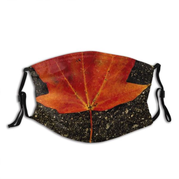 yanfind Falls Maple Autumn Sad Sadness Woody Leaves Maple Plant Fall Plane Street Dust Washable Reusable Filter and Reusable Mouth Warm Windproof Cotton Face