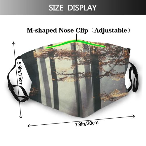 yanfind Morning Natural Atmospheric Autumn Woody Plant Branch Wood Forest Leaf Tree Forest Dust Washable Reusable Filter and Reusable Mouth Warm Windproof Cotton Face