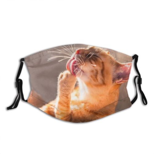 yanfind Isolated Comfort Happiness Fur Young Cat Licking Cute Interior Wildlife Relax Beautiful Dust Washable Reusable Filter and Reusable Mouth Warm Windproof Cotton Face