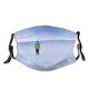 yanfind Snowshoe Winter Borealis Geological Footwear Mountaineering Sky Aurora Snowscape Arctic Ski Winter Dust Washable Reusable Filter and Reusable Mouth Warm Windproof Cotton Face