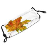 yanfind Flowering Leaves Leaf Maple Leaf Maple Fall Plant Tree Plant Decoration Autumn Dust Washable Reusable Filter and Reusable Mouth Warm Windproof Cotton Face